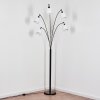 Bassagoda Lampadaire Noir, 5 lumières
