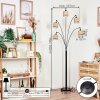 Bongal Lampadaire Noir, 5 lumières