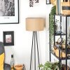 Soungou Lampadaire Noir, 1 lumière