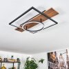 Pompu Plafonnier LED Brun, Couleur bois, Noir, 1 lumière