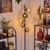 Ripoll Lampadaire Chrome, Clair, Fumé, 5 lumières