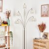 Bassagoda Lampadaire Nickel mat, Noir, 5 lumières