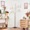 Bassagoda Lampadaire Nickel mat, Noir, 5 lumières