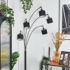 Bassagoda Lampadaire Noir, 5 lumières