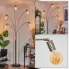 Codecreo Lampadaire Nickel mat, Noir, 5 lumières