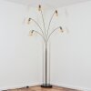 Codecreo Lampadaire Nickel mat, Noir, 5 lumières