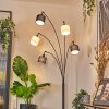 Bassagoda Lampadaire Noir, 5 lumières