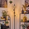 Ripoll Lampadaire Clair, 4 lumières