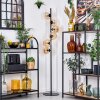 Koyoto Lampadaire Ambre, 6 lumières