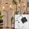 Bassagoda Lampadaire Nickel mat, Noir, 5 lumières