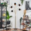 Alsen Lampadaire Laiton, Noir, 5 lumières