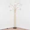 Bassagoda Lampadaire Laiton, Noir, 5 lumières