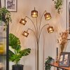 Cando Lampadaire Laiton, Noir, 5 lumières