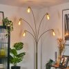 Codecreo Lampadaire Laiton, Noir, 5 lumières