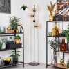 Koyoto Lampadaire Ambre, Clair, 4 lumières