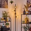 Koyoto Lampadaire Ambre, Clair, 4 lumières