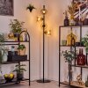 Koyoto Lampadaire Ambre, 4 lumières
