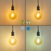 Ampoule LED Pratoia E27 9 Watt 806 Lumen 2200 - 5500 Kelvin