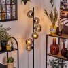 Ripoll Lampadaire Chrome, Fumé, 6 lumières