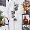 Ripoll Lampadaire Clair, Fumé, 5 lumières