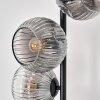 Ripoll Lampadaire Clair, Fumé, 5 lumières