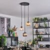 Ripoll Suspension, Boule lumineuse, Suspension Ambre, Clair, Fumé, 3 lumières