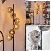 Ripoll Lampadaire Clair, Fumé, 6 lumières