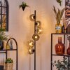 Ripoll Lampadaire Clair, Fumé, 6 lumières