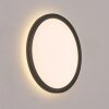 Qadir Lampe murale d´extérieur, Plafonnier LED Blanc, 1 lumière