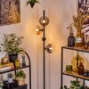 Gastor Lampadaire 34 cm Ambre, Clair, Fumé, 4 lumières
