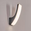 Gilan Lampe murale d´extérieur, Applique murale LED Noir, 1 lumière