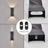 Halan Lampe murale d´extérieur, Luminaire Up & Down, Applique murale LED Noir, 2 lumières
