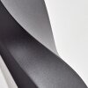 Halan Lampe murale d´extérieur, Luminaire Up & Down, Applique murale LED Noir, 2 lumières