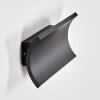 Grana Lampe murale d´extérieur, Applique murale LED Noir, 2 lumières