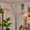 Nikkala Lampadaire Noir, 5 lumières
