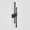 Glara Lampe murale d´extérieur, Applique murale LED Noir, 2 lumières