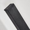 Glara Lampe murale d´extérieur, Applique murale LED Noir, 2 lumières