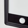 Harel Lampe murale d´extérieur, Panel, Applique murale LED Noir, 1 lumière, Détecteur de mouvement