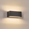 Lanor Lampe murale d´extérieur, Luminaire Up & Down, Applique murale LED Noir, 1 lumière