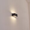 Lanor Lampe murale d´extérieur, Luminaire Up & Down, Applique murale LED Noir, 1 lumière