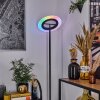 Byrum Lampadaire LED Noir, 1 lumière, Changeur de couleurs