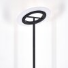 Byrum Lampadaire LED Noir, 1 lumière, Changeur de couleurs