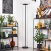 Byrum Lampadaire LED Noir, 1 lumière, Changeur de couleurs