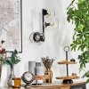 Koyoto Boule lumineuse, Applique murale Clair, 3 lumières