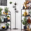 Ripoll Lampadaire Chrome, Fumé, 4 lumières