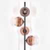 Ripoll Lampadaire Clair, Cuivré, 4 lumières