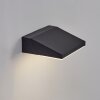 Xaden Lampe murale d´extérieur, Applique murale LED Noir, 1 lumière