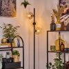 Koyoto Lampadaire Ambre, Clair, 3 lumières