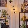 Koyoto Lampadaire 31 cm Clair, 3 lumières