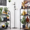 Koyoto Lampadaire 31 cm Clair, 3 lumières